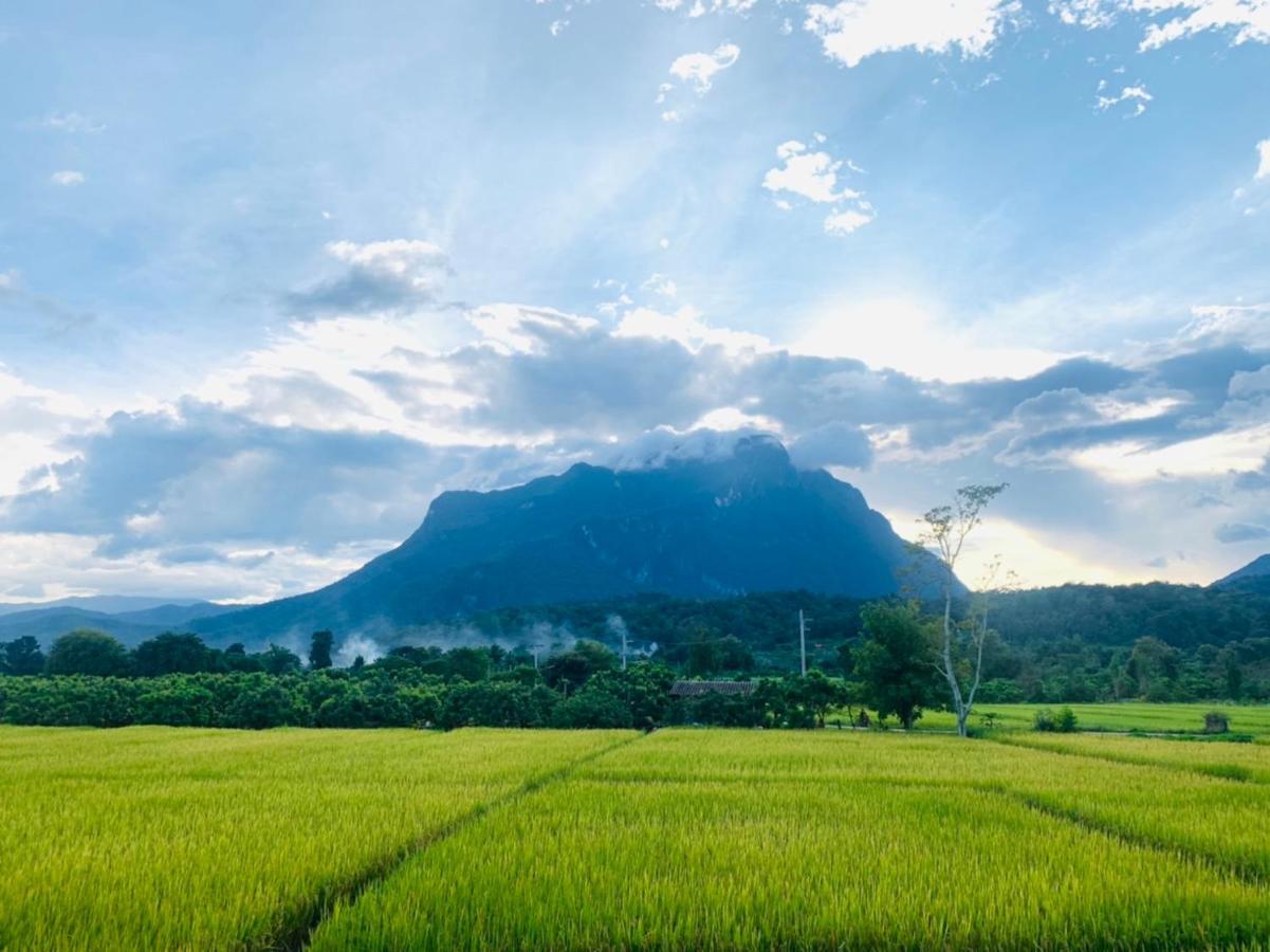 Krathom Doi Luang 호텔 치앙다오 외부 사진