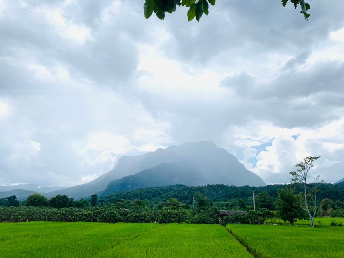 Krathom Doi Luang 호텔 치앙다오 외부 사진