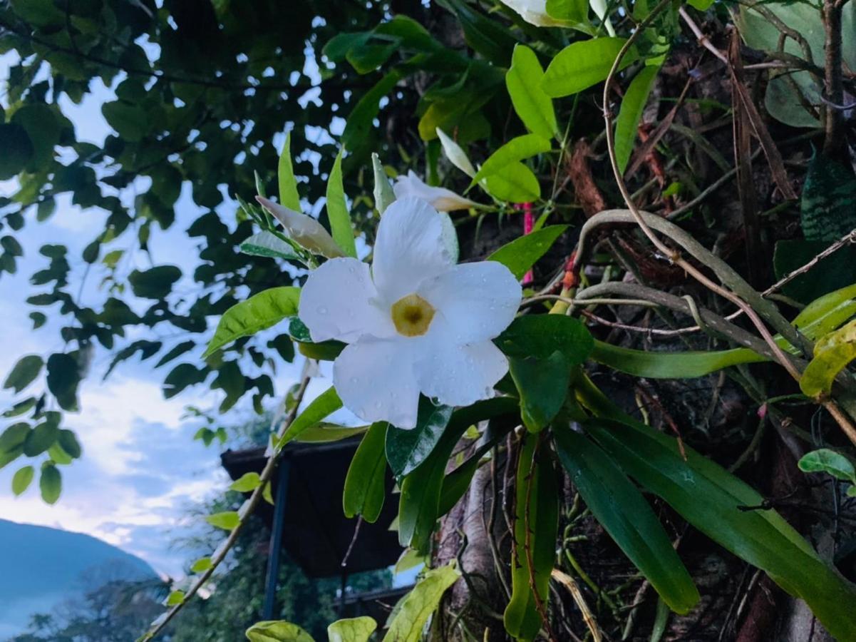Krathom Doi Luang 호텔 치앙다오 외부 사진